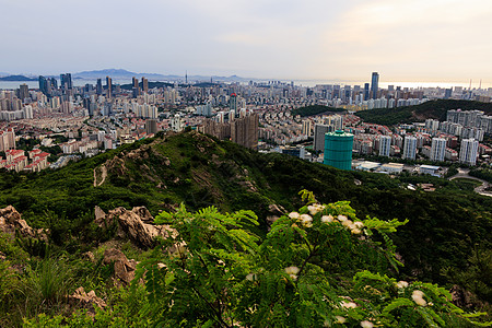 阳光下的建筑阳光下的青岛城市风光背景