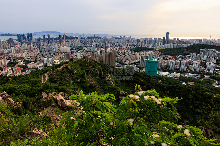 阳光下的青岛城市风光图片