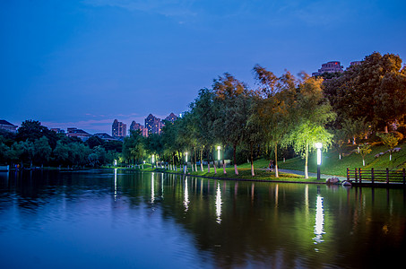 公园灯光天鹅湖夜景与天空背景