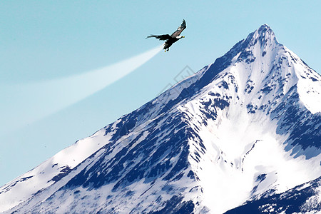 雪山山峰鹰击长空设计图片