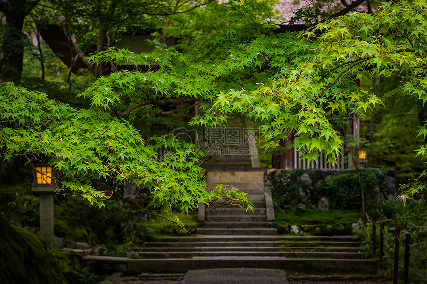 禅意的台阶高清图片下载正版图片500435023摄图网