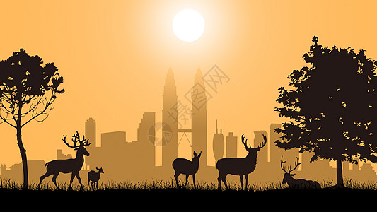 剪影-城市之外草地上的鹿群高清图片