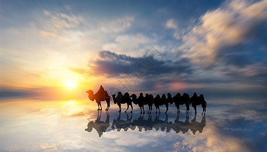 澳大利亚 布鲁姆 凯布尔海滩驼队背景图片