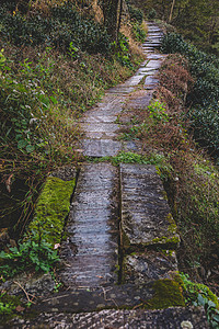 山间道路马路小路图片