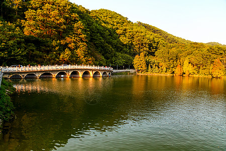 空桥金黄色夕阳下树林旁湖边上多孔桥倒影在湖里波光粼粼背景