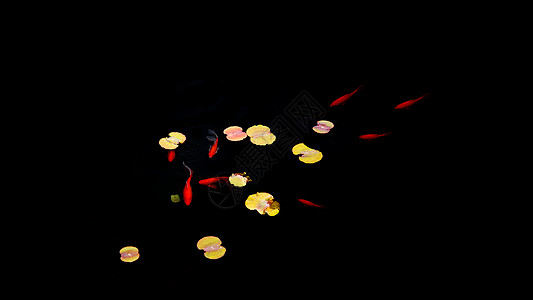 鱼戏莲叶间莲花池中的小天地背景