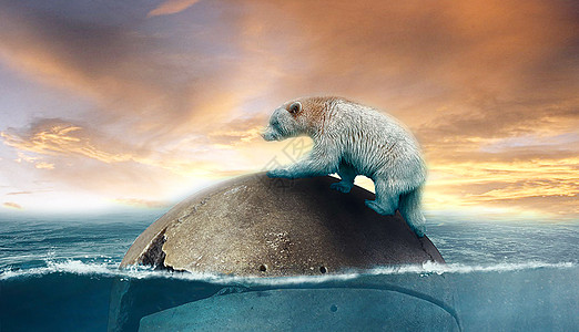 易班熊'设计图片