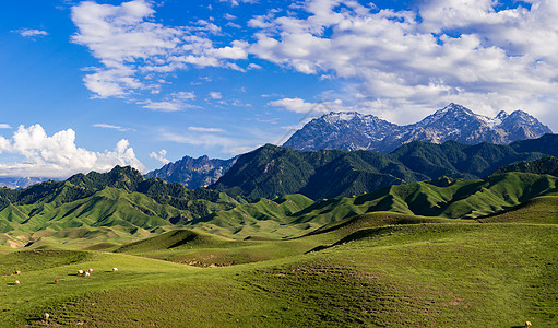 草原沙漠新疆风光背景