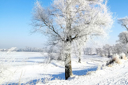 萧条冬天雪景背景