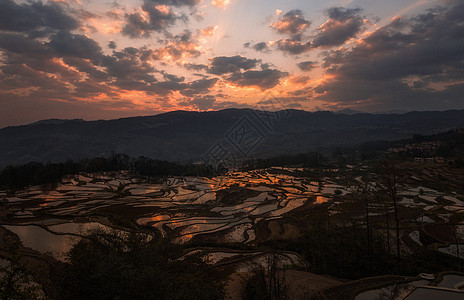 元阳多依树梯田背景