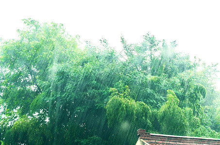 夏天午后的暴雨高清图片