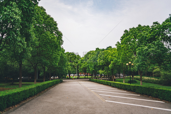 停车场马路绿色图片