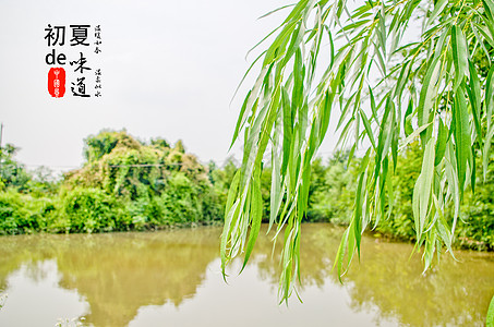 初夏的味道-温暖如春 温柔似水背景