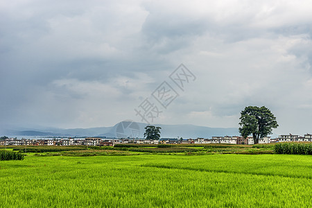 乡村旅游大理美丽乡村背景