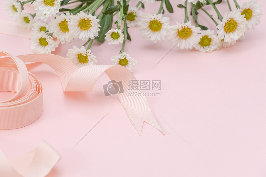 粉色雏菊丝带背景元素留白图片