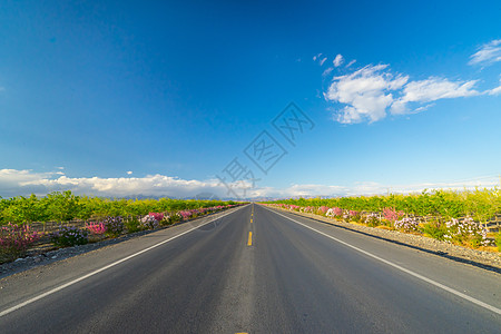 远方的风景新疆公路背景