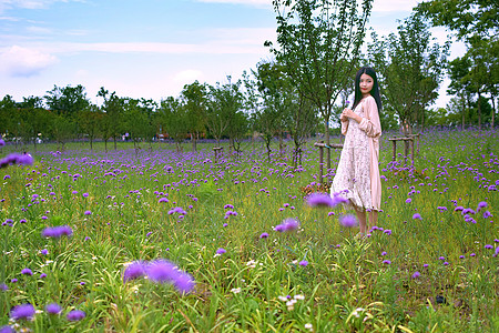 上海薰衣草园的美女写真高清图片