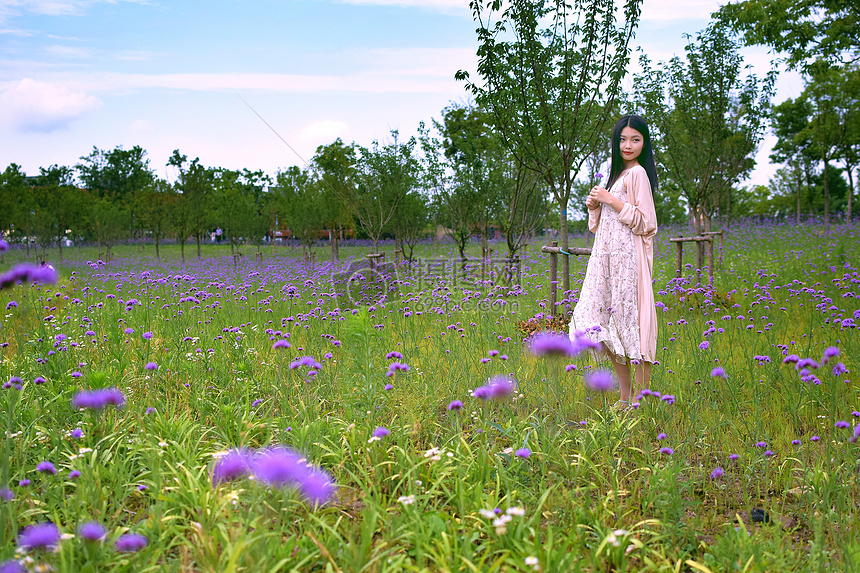 上海薰衣草园的美女写真图片