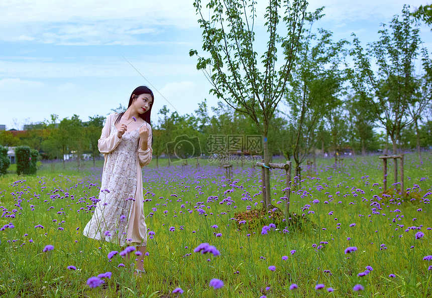 上海薰衣草园的美女写真图片