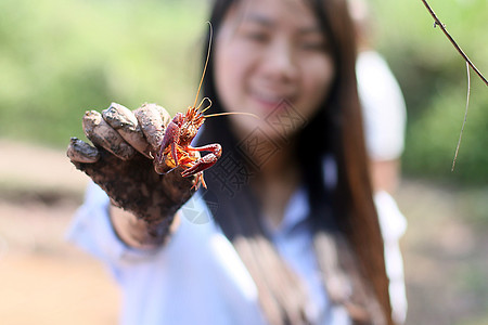 小龙虾手抓龙虾高清图片