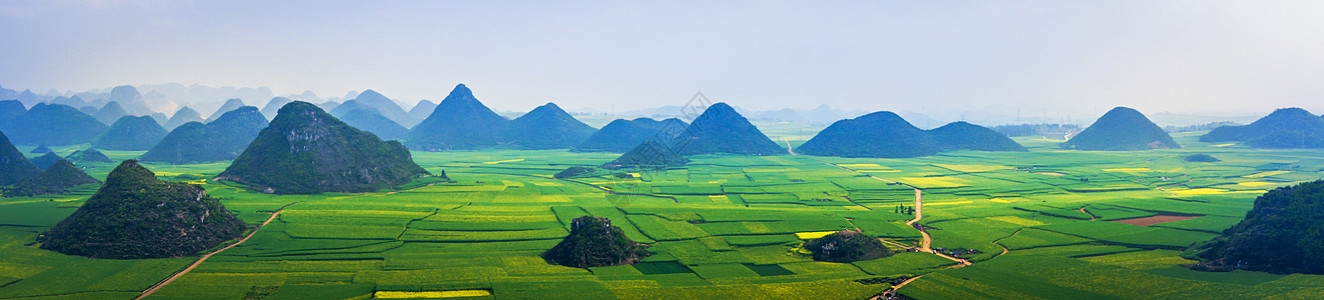 梯田油菜花罗平金鸡岭背景