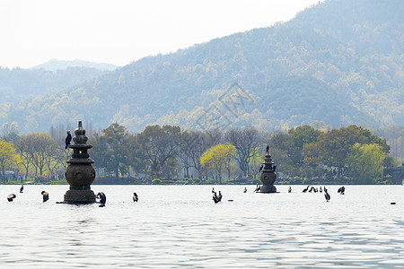 杭州乐园三潭映月杭州西湖风景背景