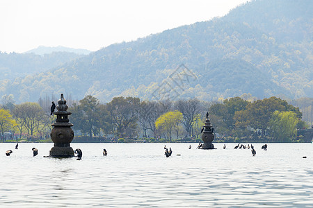 三潭映月杭州西湖风景图片