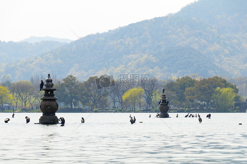 三潭映月杭州西湖风景图片