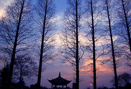 太湖仙岛无锡太湖黄昏风景背景