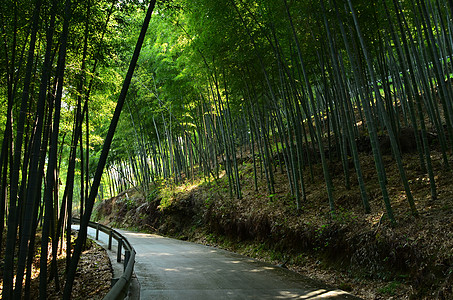 宁波奉化中山公园山上图片