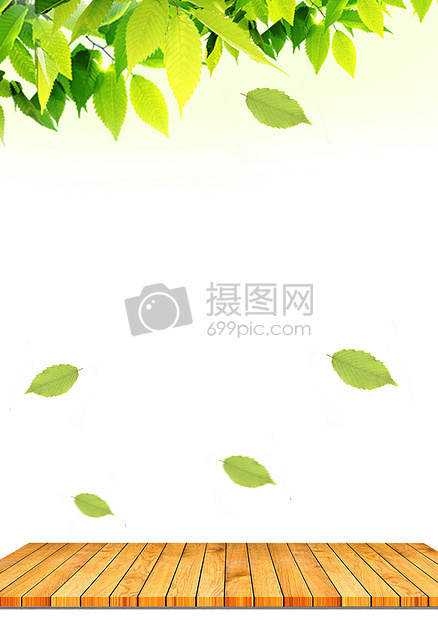 天然树叶背景图片