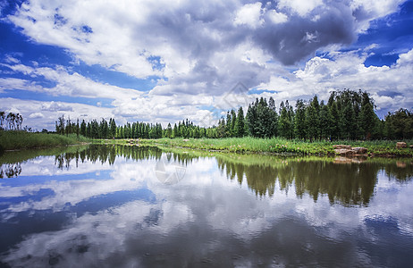 滇池湿地倒影背景