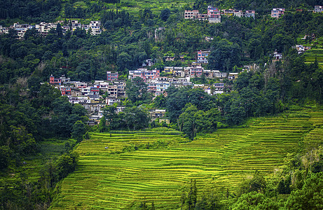 元阳旅游梯田背景