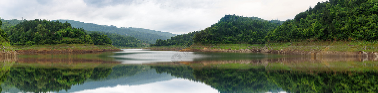 水库湿地树林全景背景