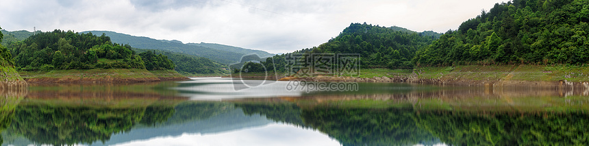 水库湿地树林全景图片