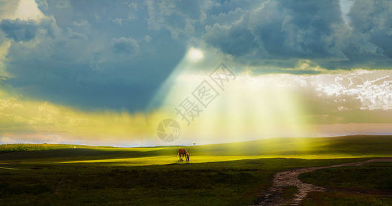 乌云太阳草原光影背景