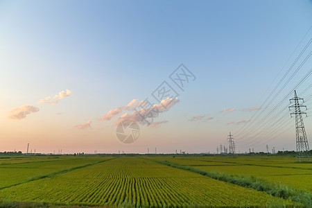 蓝天白云的田地图片