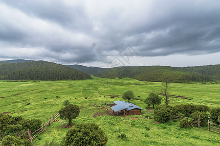 高原旅游高原牧场背景