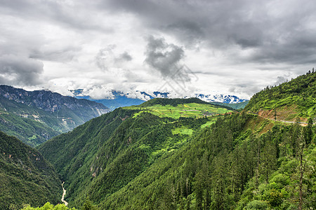 草甸地貌香格里拉背景