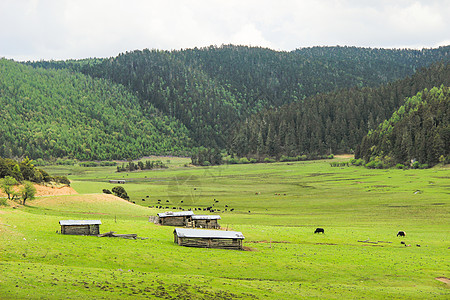 云南风情香格里拉背景