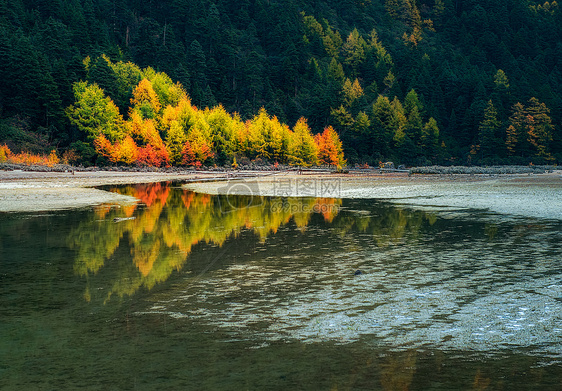 秋色绽放在即将结冰的湖边图片