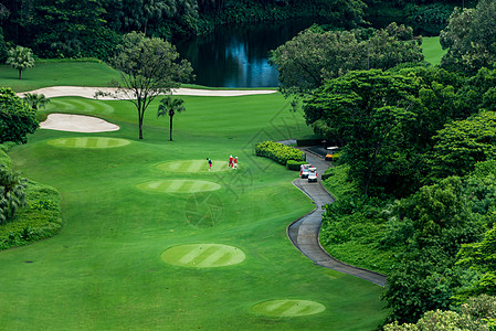 高尔夫球场绿色车夏天高清图片