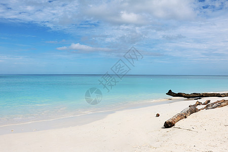 海南椰子树海南夏日风景背景