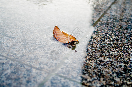 被夏季太阳雨浇灌的万物高清图片