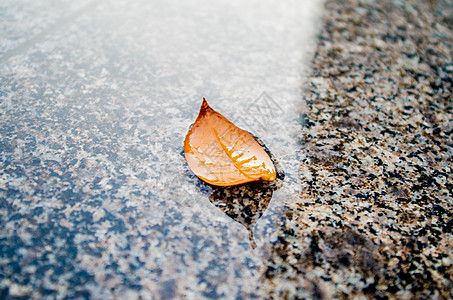 被夏季太阳雨浇灌的万物高清图片