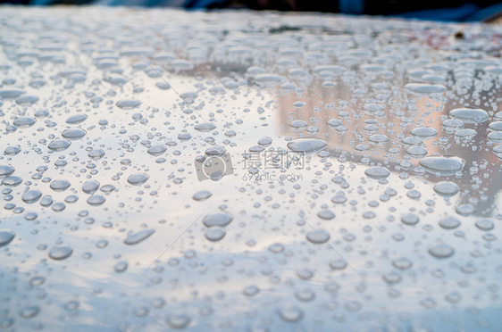 被夏季太阳雨浇灌的万物图片