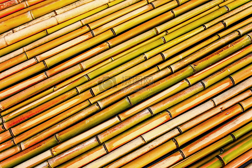 竹子色彩几何韵律图片