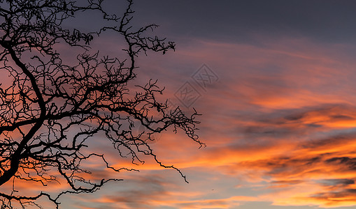 母女剪影夕阳剪影背景