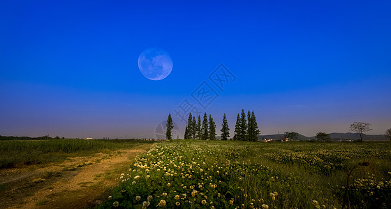 草原夜色草场静夜背景