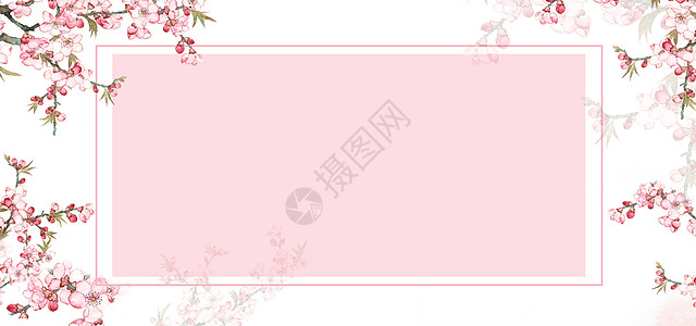 粉色花纹夏季banner背景设计图片